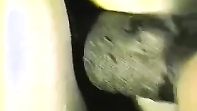 Close-up of a penis