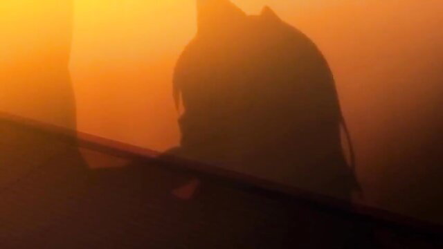 Silhouette of backpack girl in steamy orange haze, Akane Hentai sexcapades