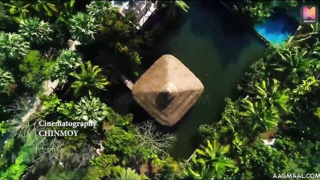 Aerial view of Indian pyramid hut in lush tropical pond, exotic outdoor setting