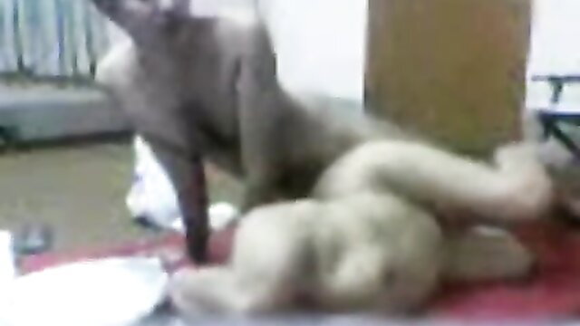 Pakistani Punjabi hubby devours wife orally in hidden cam