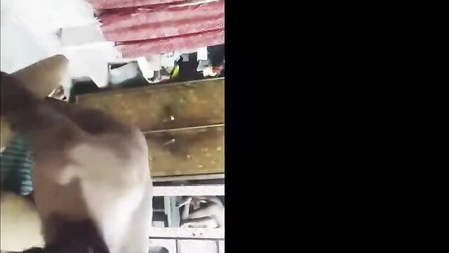 Sexy Indian girl hard fucked by lover in amateur video