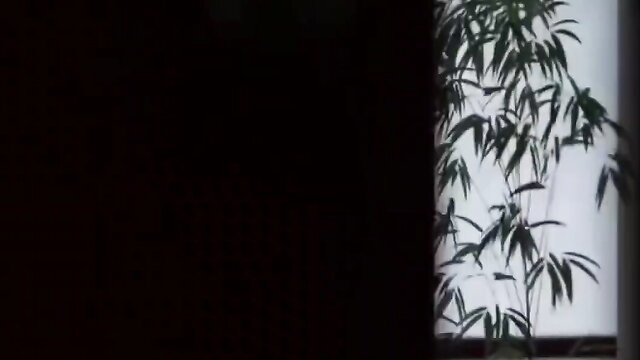 Futanari model sucking her cock while being pounded by another model