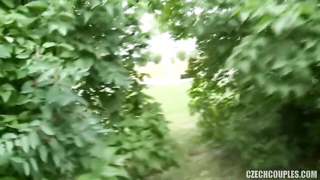 Blurry green path through bushes in public outdoor setting