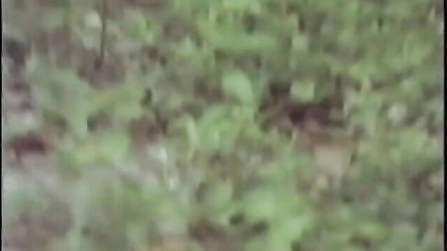 Blurry green bushes hide unknown models in classic XXX outdoor loop