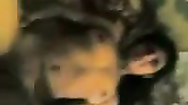 Hot Pakistani GF pounded missionary style closeup