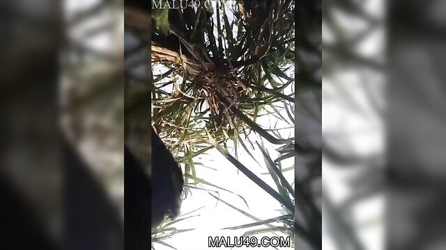 Indian MILF roughed up outdoors, blurred hairy pussy closeup