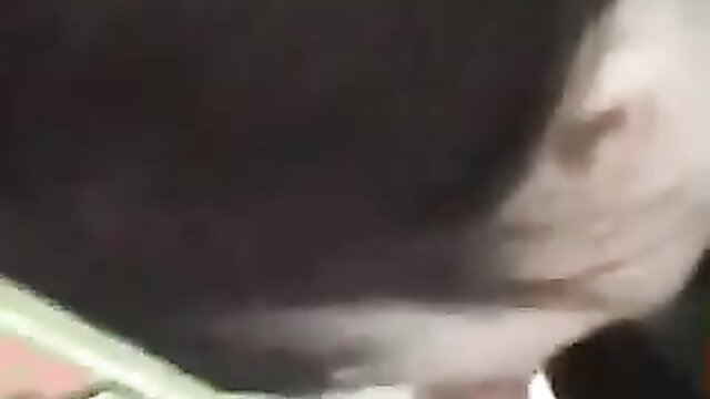 Hot gamer chick deepthroats big cock in intense oral action