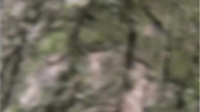 Naughty gal stops car on forest road to pee by trees