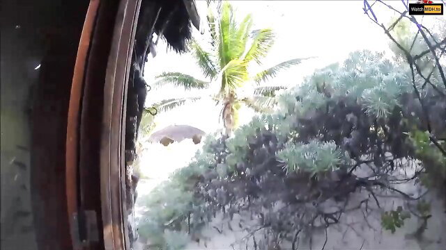 Blonde bombshell Geile Blondine viewed from window with palm trees, pool sex vibe