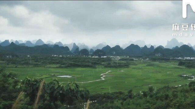 Scenic misty karst mountains and lush green rice fields in China