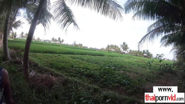 Petite Thai teen Cherry in lush outdoor rice paddy with palms