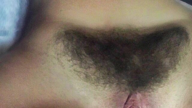 Closeup of big hairy pussy spread wide open