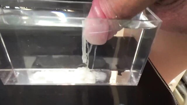 nkreiwa watches thick watery cumshot from tiny uncut dick in tank
