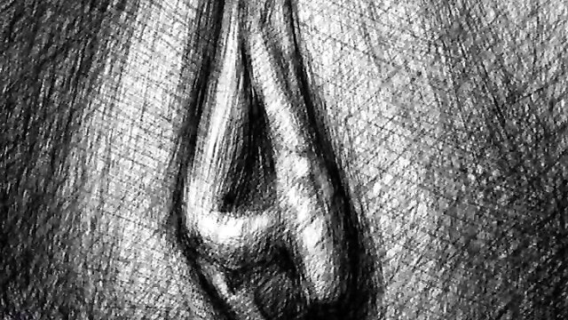 Closeup sketch art of spread shaved pussy lips in erotic drawing
