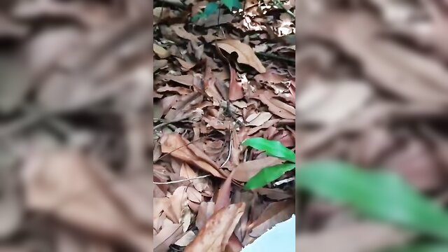 ABG Indonesian teen couple fucking in garden viral video