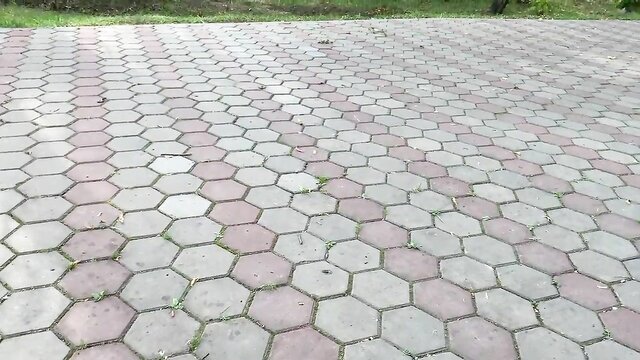 Hexagon pavers on park path with grass, outdoor ground