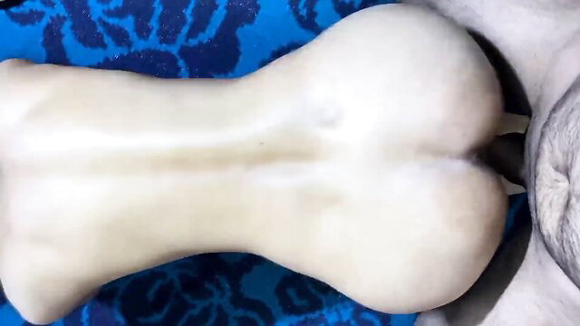 Indian stepsis fat white ass up in hot desi pussy ravish sex tape