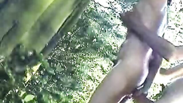 Exotic black whore fucked outdoors in Jamaican jungle quickie