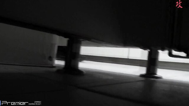 Dark garage pee video thumbnail from PremierPeeCollection #31