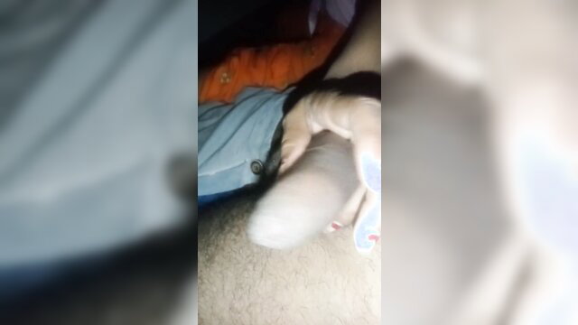 Indian girl playfully stroking Jija ji's hard cock closeup