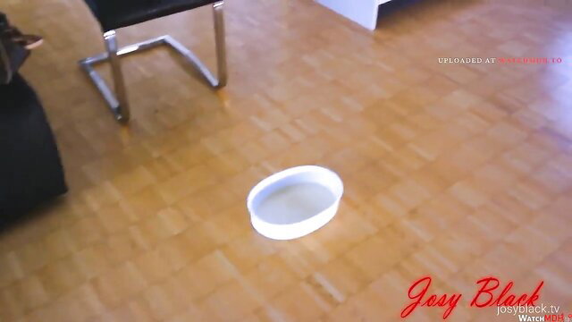 Josy Black adult video thumbnail with white bowl on floor