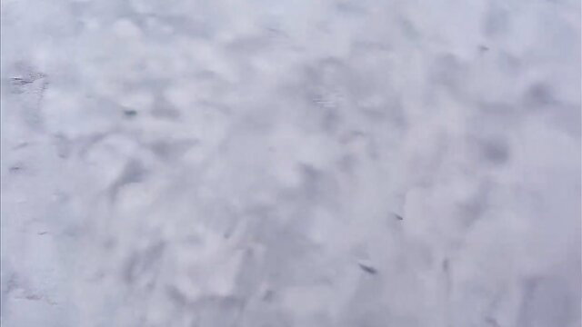 Blurry closeup of white substance on skin in amateur casting blowjob