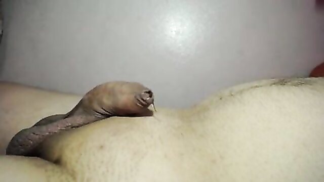 Closeup of uncircumcised penis erupting cum hands-free on belly