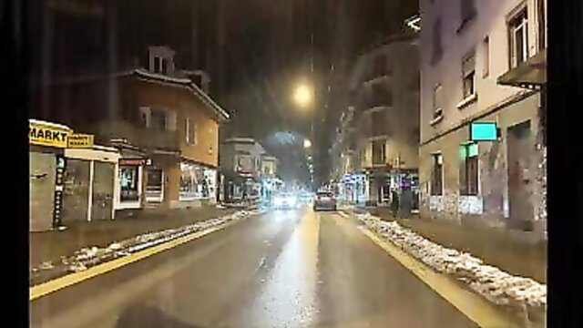 TheGuruOfSex snowy Zurich night streets sex tour sightseeing