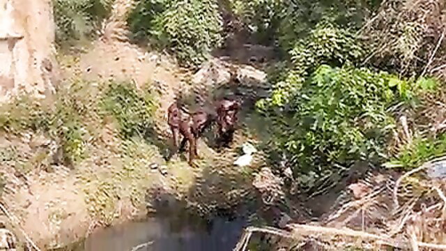 Teenage village girl fucked by 2 strangers in river outdoors