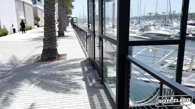 GotFilled yacht marina outdoor scene with palm trees and docked boats