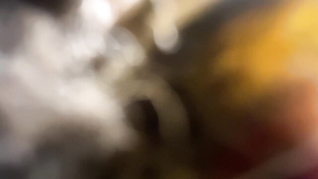 Blurry amateur fuck with ugly thot squirting in basement