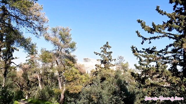 Pine forest view of ancient Parthenon temple in Athens Greece
