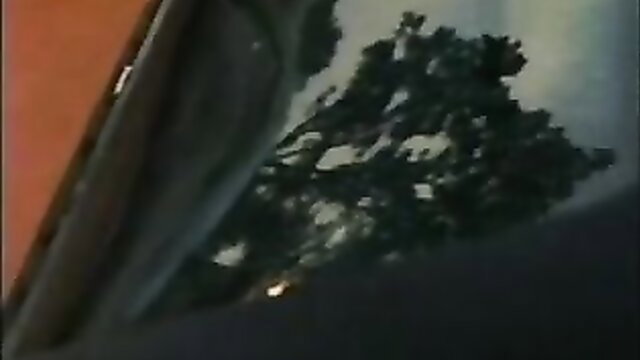 Daddy's Little Girls 1983 retro porn thumbnail, closeup outdoor sex scene