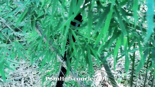Thai Karen girl in lush bamboo forest, amateur outdoor tease