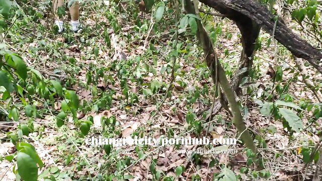 Thai amateur teen squats nude outdoors in forest, hairy pussy closeup