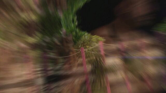 Blurry closeup of woman's green bush and pink labia in Naked Dating episode 5