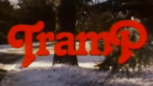 Tramp 1980 vintage porn title logo in snowy forest, uncensored classic