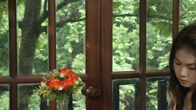 Asian beauty in elegant dress by window with flowers, softcore tease