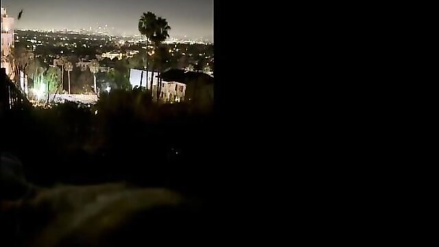 McKinley Richardson LA skyline night view from Hollywood Hills