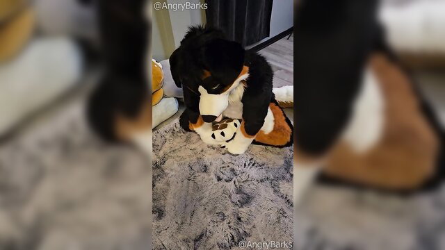 AngryBarks furry paws soles fetish pawjob spunk closeup