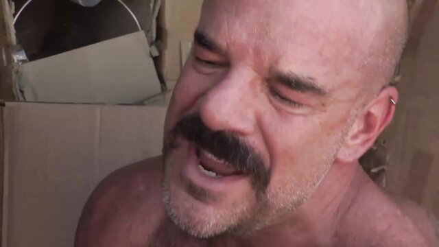 Bald mustached daddy bareback fucking twink at Love Trans Sex