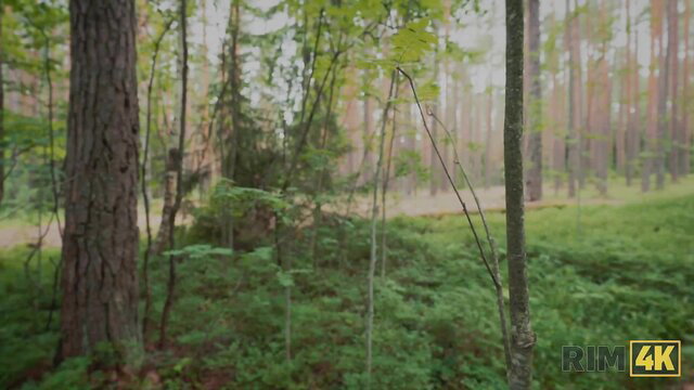 Forest rimming preview: Toni Billl & Moon Imp anal cleaning RIM4K