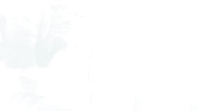 Julia Roca hairy pussy pounded hard in office sex