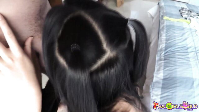 Thai girl with pigtails POV headjob from foreign guy