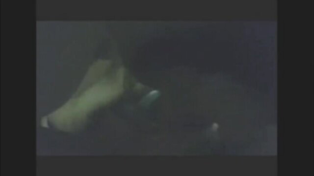 Blurry Thai girl closeup sucking big hard cock in amateur video