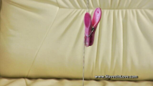 Pink clothespin bondage on kinky sub's skin in domination scene