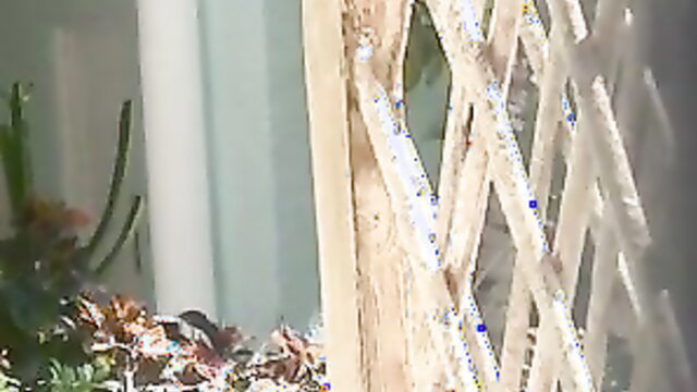 Topless blonde with nice boobs at beach through wooden fence