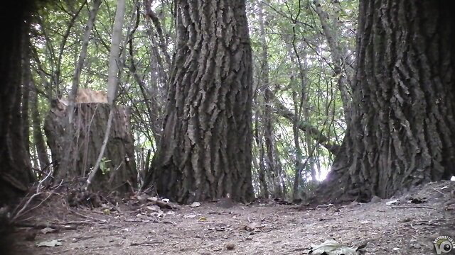 Cutie in sexy red dress squats to piss in dark woods