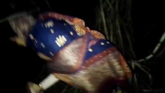 Desi bhabhi saree chudai in sugarcane field at night