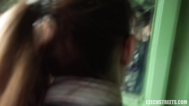 Woman having sex with a male conductor in a train toilet